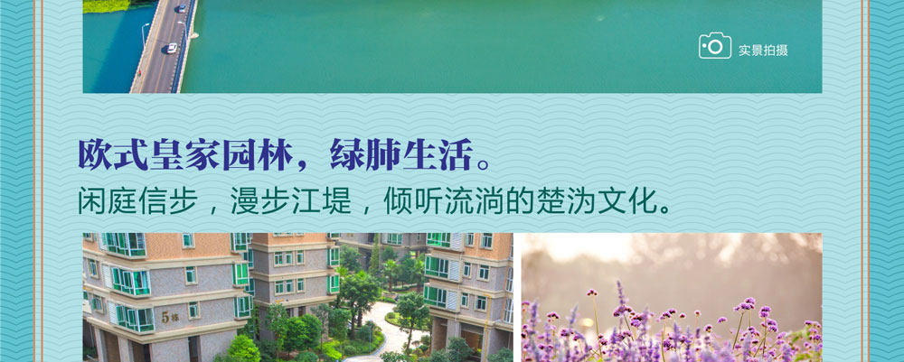 產(chǎn)品圖片